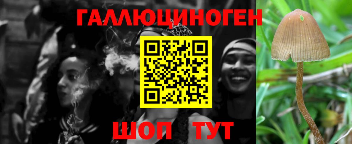 Галлюциногенные грибы GOLDEN TEACHER  Вход с VPN  Псилоцибиновые грибы Magic Shrooms  Солнечногорск 